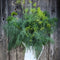 Dill